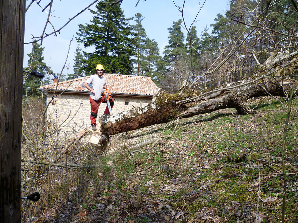 DIAZ Elagage  Votre professionnel de l'élagage en Ardèche