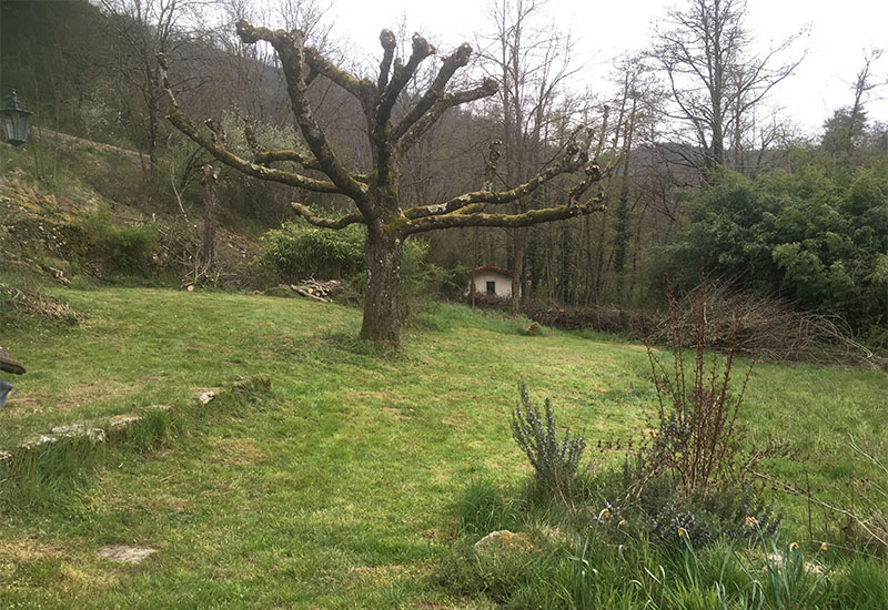 DIAZ Elagage  Votre professionnel de l'élagage en Ardèche